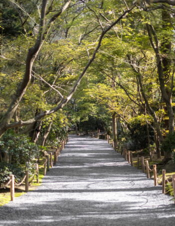 LoveOcalaWalkawayGarden